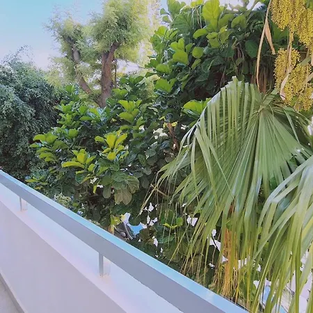 Vital Elegance Apartman *